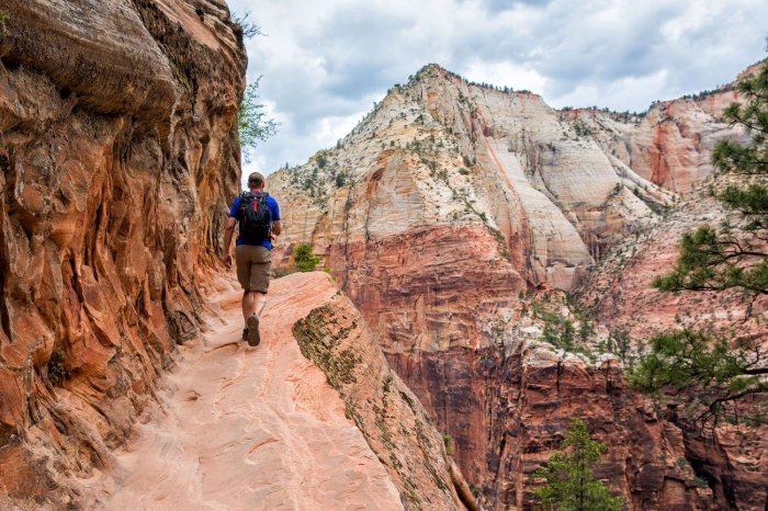 Zion national point observation hikes park trail crowds canyon mesa east parks via beat views most rock without freshoffthegrid