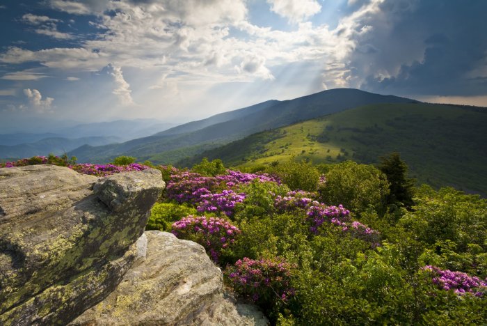 Best hiking trails in the US